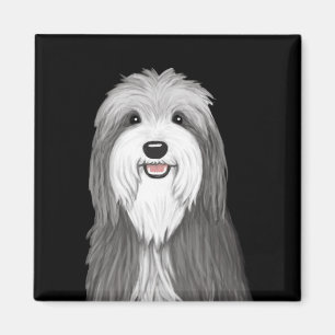 Aimant Chien de dessin de Collie à poils