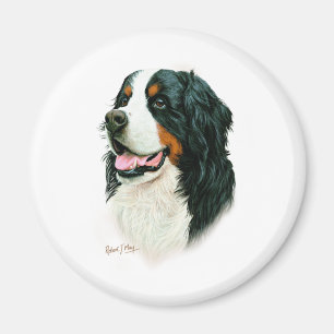 Aimant Chien de montagne de Bernese