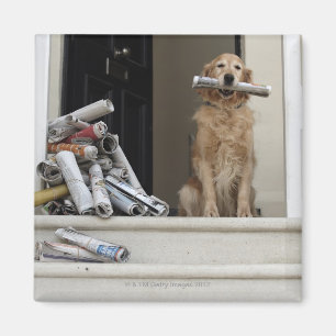 Aimant Chien de repérage d'or assis à la porte d'entrée