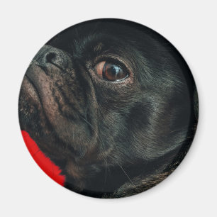 Aimant chien de rojo