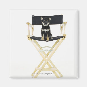 Aimant Chien de Shiba Inu sur la chaise du directeur