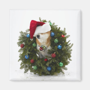 Aimant Chien de Shiba Inu utilisant le casquette de Père