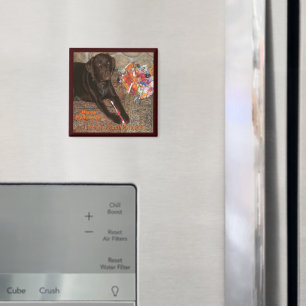 Aimant Chien d'Halloween avec dent sucrée