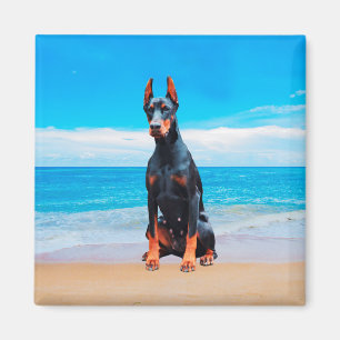 Aimant Chien Doberman Assis Sur La Plage