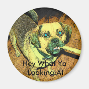 Aimant Chien drôle de Puggle