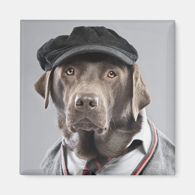 Aimant Chien en pull et casquette (Devant)