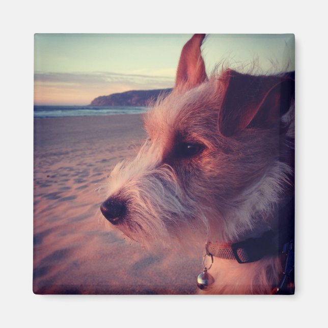 Aimant Chien Face De La Plage (Devant)