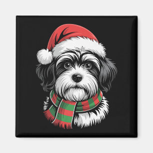 Aimant Chien Havanais Noël Chapeau Noël Écharpe Noël Cost