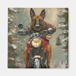 Aimant Chien Malinois Belge à Vélo à Noël