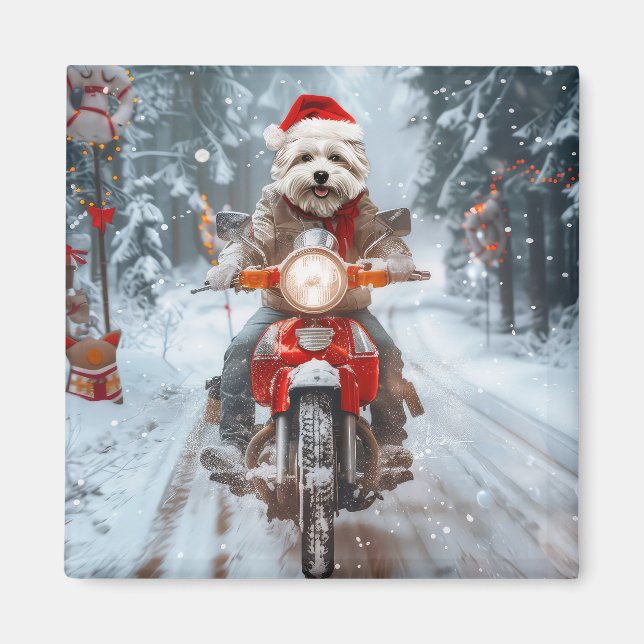 Aimant Chien maltais équitation moto Noël (Devant)