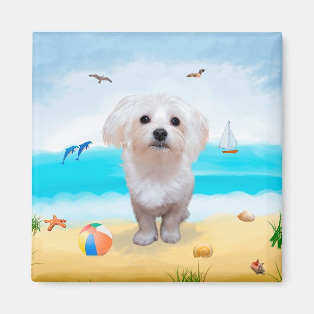 Aimant Chien maltais sur la plage (Devant)