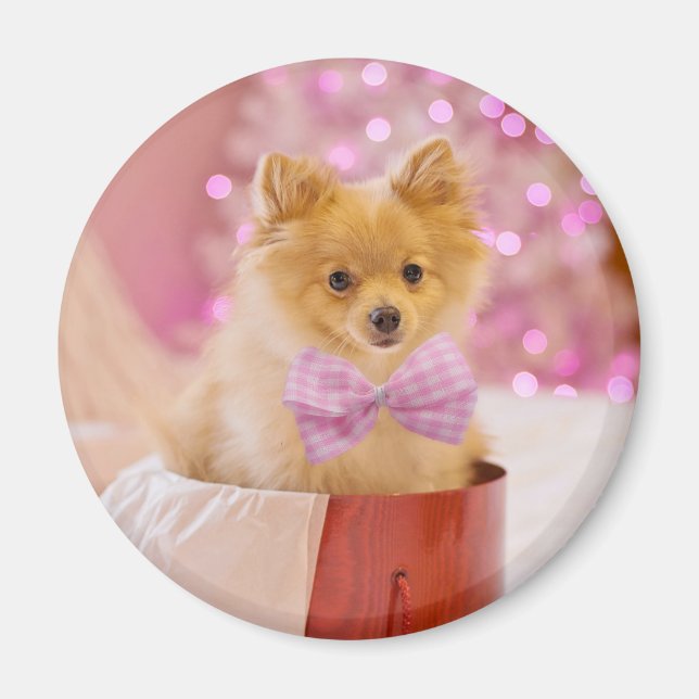 Aimant Chien mignon avec cabot rose Photo de Noël (Devant)