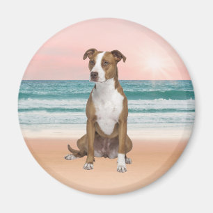 Aimant Chien Pitbull mignon assis sur la plage avec couch
