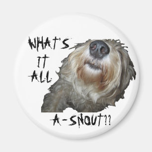 Aimant Chien "QU'EST-CE QUE C'EST QUE DE LA NEIGE ? ?" Ma