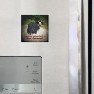 Aimant Chien sorcier allemand