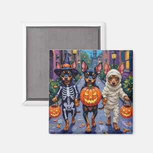 Aimant Chiens Affenpinscher faisant Trick-or-Treating pou
