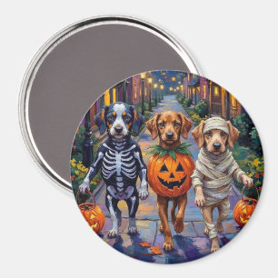 Aimant Chiens Azawakh demandeurs de friandises Costumes d