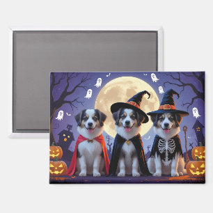 Aimant Chiens de berger anatoliens Citrouille Halloween d