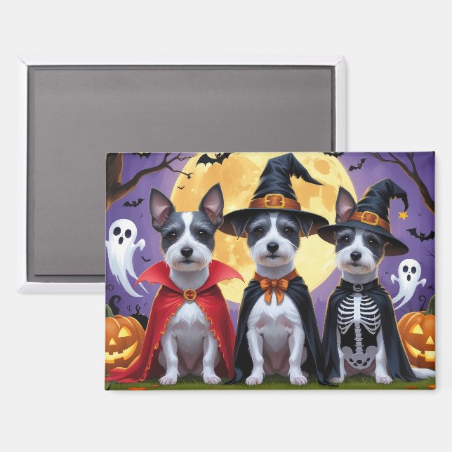 Aimant Chiens de Rat Terrier Citrouille Halloween Funny (Recto/Verso)