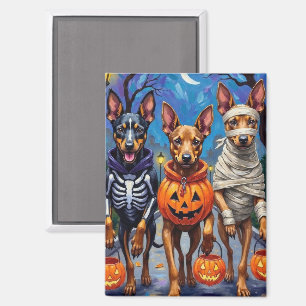 Aimant Chiens Malinois belges Trick-or-Treating Halloween