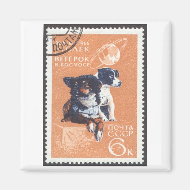 Aimant Chiens russes 1966 Cosmos 110 (Devant)