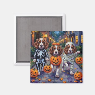 Aimant Chiens Springer Spaniel en costumes d'Halloween