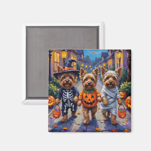 Aimant Chiens Yorkshire Terrier en costumes d'Halloween