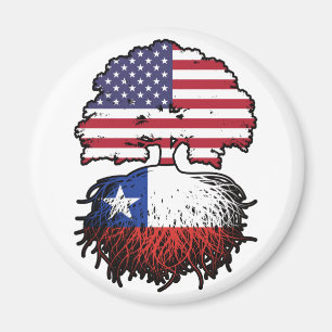 Aimant Chili Amérique chilienne États-Unis drapeau des ra