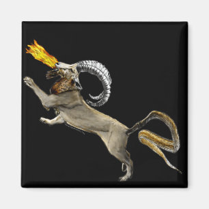 Aimant Chimera
