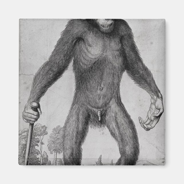 Aimant Chimpanzé, 1699 (Devant)