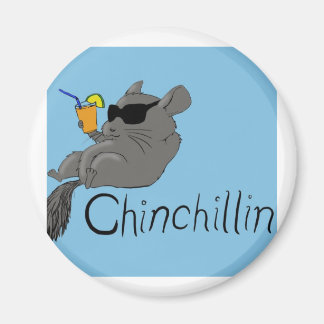Aimant chinchilline