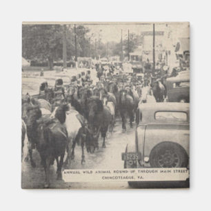 Aimant Chincoteague Pony Cheval Vintage Carte postale Art