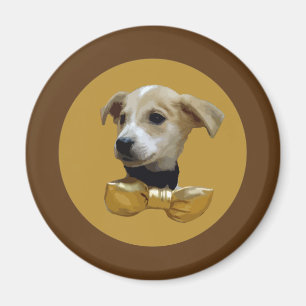 Aimant Chiot