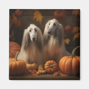 Aimant chiot Afghan Hound Automne Délice Citrouille