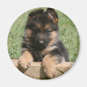 Aimant Chiot berger allemand