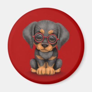 Aimant Chiot de dobermann avec des verres de lecture,