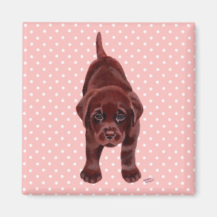 Aimant Chiot de Labrador de chocolat
