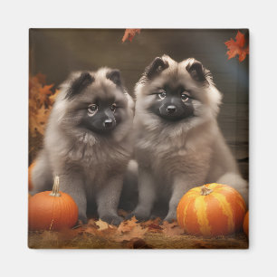 Aimant Chiot Keeshond Délice d'Automne Citrouille