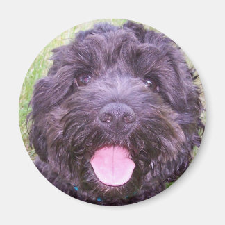 Aimant Chiot souriant