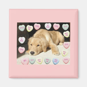 Aimant Chiot Valentine Golden Retriever