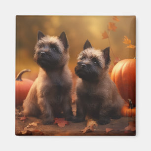 Aimant Chiots Cairn Terrier Automne Délice Citrouille