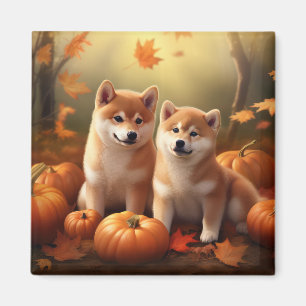 Aimant Chiots Shiba Inu Délice d'Automne Citrouille