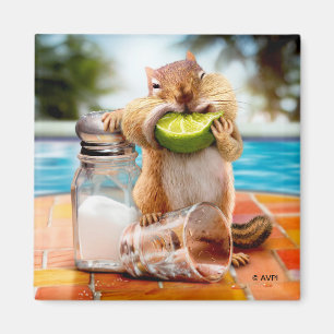 Aimant Chipmunk à la chaux