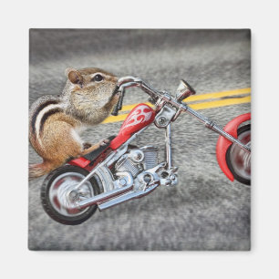 Aimant Chipmunk Biker équitation d'une moto