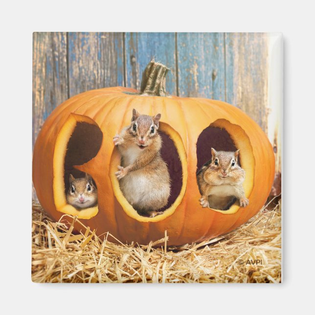 Aimant Chipmunks à l'intérieur de Boo Jack-o-Lantern (Devant)