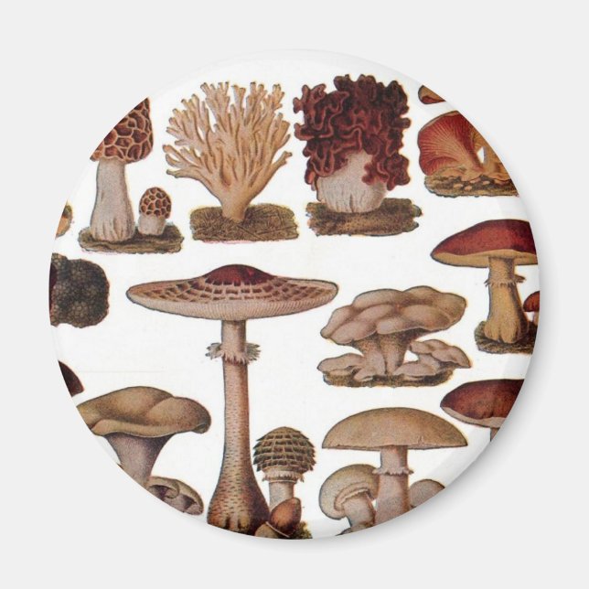 Aimant Chipster végétarien steampunk vintage champignon (Devant)