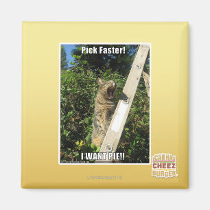 Aimant Choisissez Plus Rapidement !