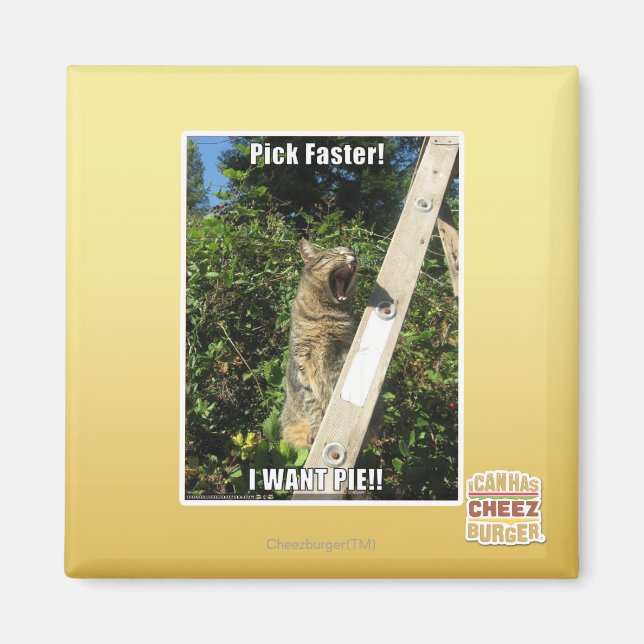 Aimant Choisissez Plus Rapidement ! (Devant)