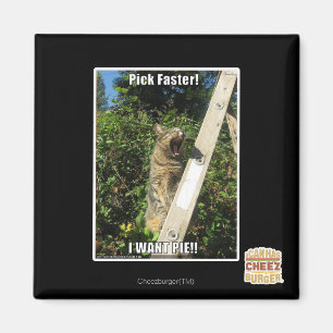 Aimant Choisissez Plus Rapidement !