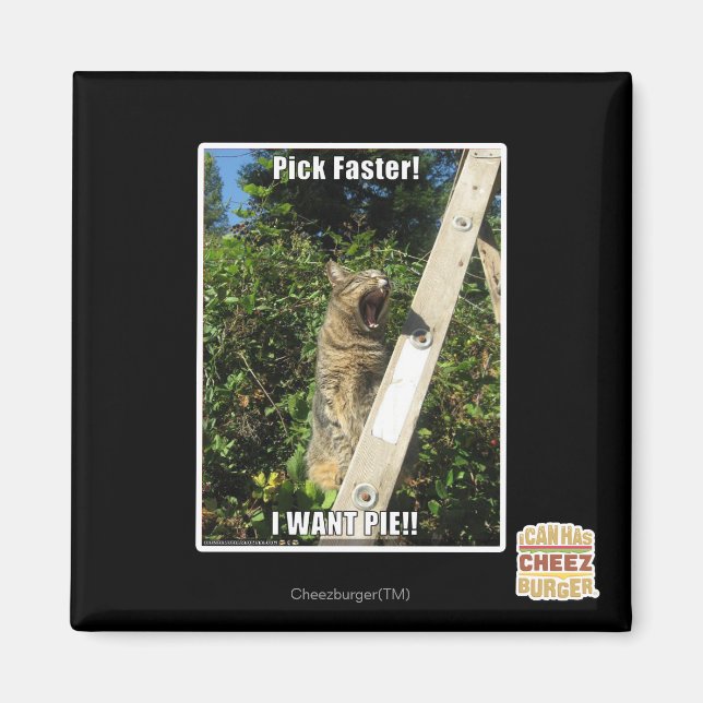 Aimant Choisissez Plus Rapidement ! (Devant)